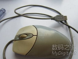 數字產品技術交流網站 推動創新與協作的橋梁